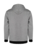 Picture of Hoodie "grey"