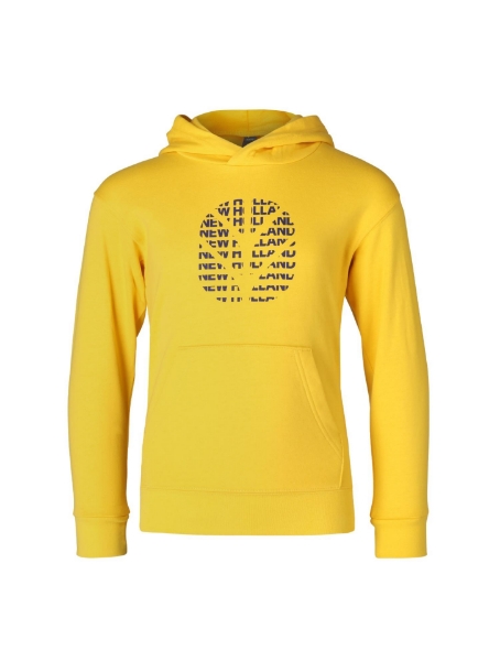 Picture of Kids Hoodie