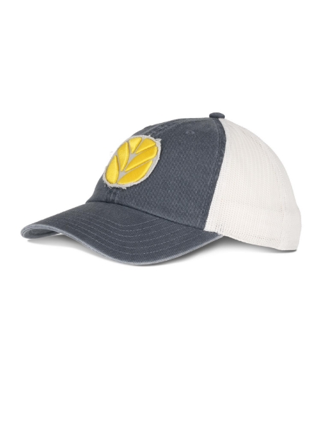 Picture of Mesh cap "destroyed"