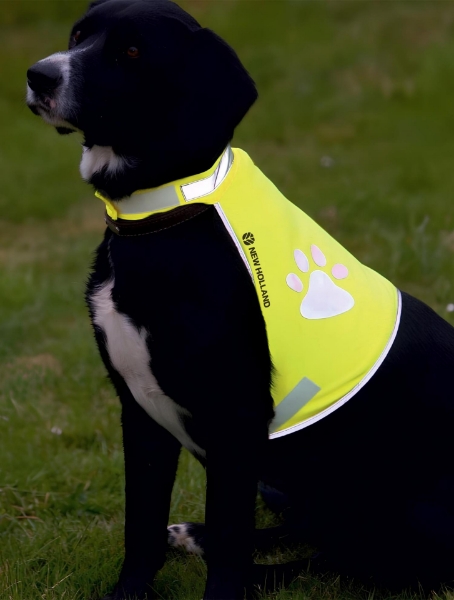 Picture of Dog safety vest