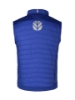Picture of Vest, blue, men