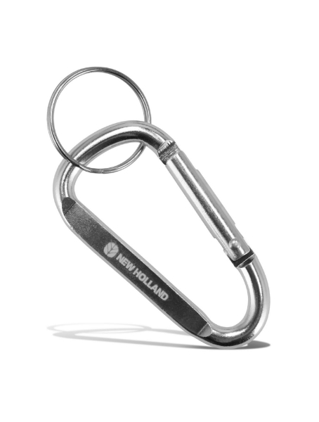 Picture of Keychain with carabiner
