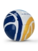 Picture of New Holland football