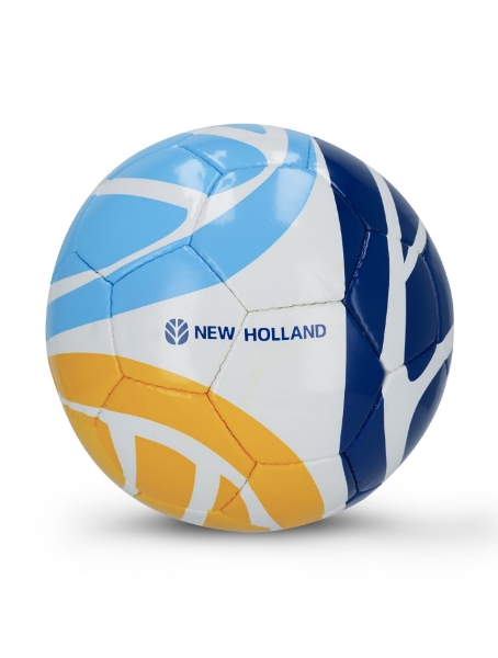 Picture of New Holland football