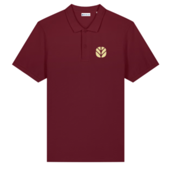 Picture of Polo shirt Braud Anniversary